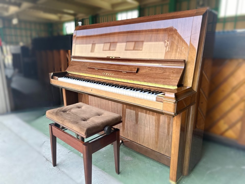 Hình ảnh chi tiết YAMAHA W202 Wn góc chụp 2